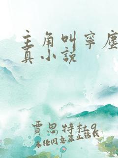 主角叫宁尘的修真小说