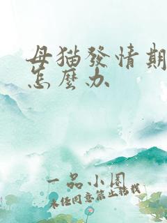 母猫发情期乱尿怎么办