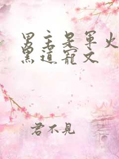 男主是军火商的黑道宠文