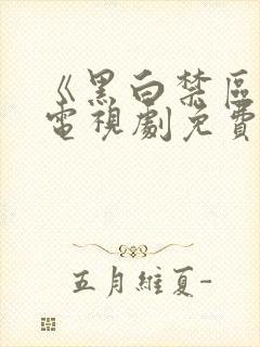 《黑白禁区 》电视剧免费看