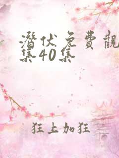 潜伏免费观看全集40集