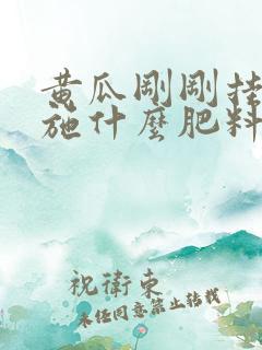 黄瓜刚刚挂果要施什么肥料好