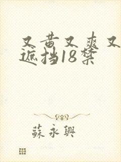 又黄又爽又色无遮挡18禁
