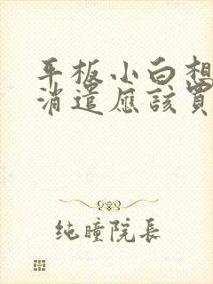 平板小白想画画消遣应该买哪个好