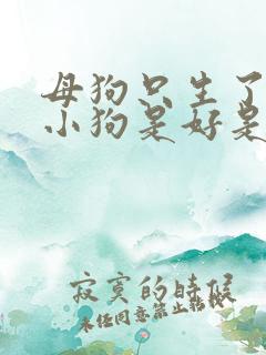 母狗只生了一只小狗是好是坏