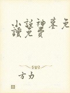 小说神墓免费阅读免费