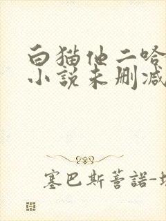 白猫他二哈师尊小说未删减