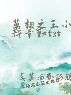 万相之王小说最新章节txt