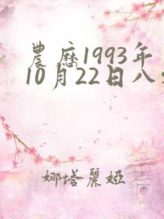 农历1993年10月22日八字怎样