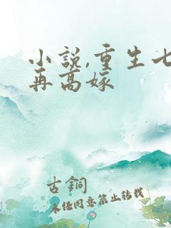 小说,重生七零再高嫁