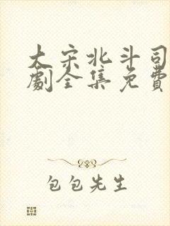 大宋北斗司电视剧全集免费
