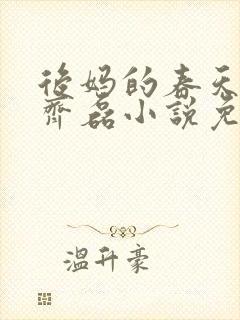 后妈的春天赵妍齐磊小说免费阅读