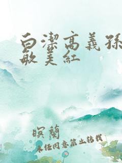 白洁高义孙倩张敏美红