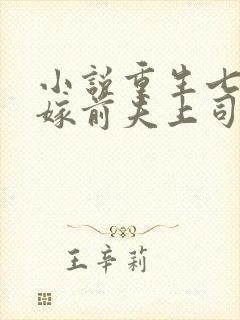 小说重生七零改嫁前夫上司