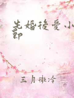 先婚后爱小说章节