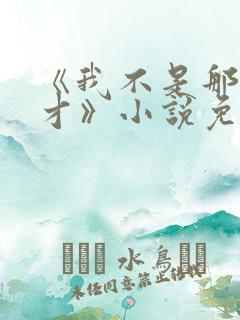 《我不是那种人才》小说免费阅读