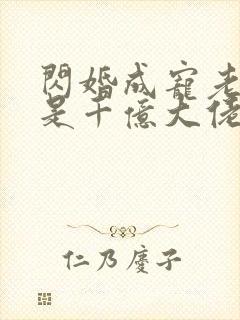 闪婚成宠老公竟是千亿大佬