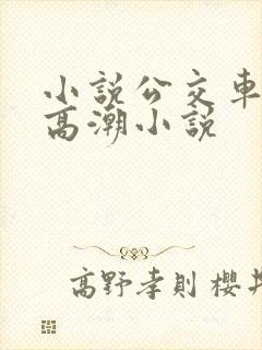 小说公交车被上高潮小说