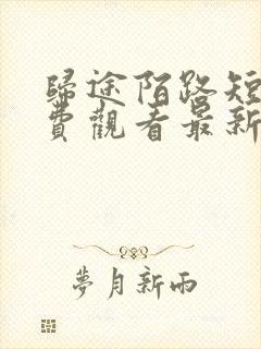 归途陌路短剧免费观看最新章节更新