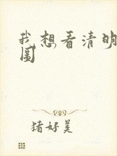 我想看清明上河图