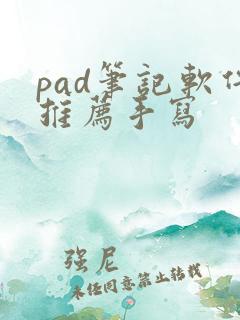 pad笔记软件推荐手写