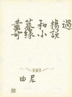 黄蓉和杨过荒岛奇缘小说