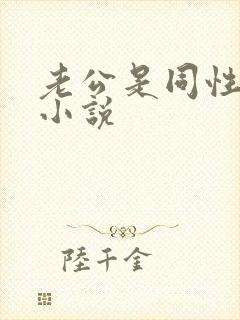 老公是同性恋的小说