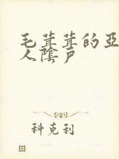 毛茸茸的亚洲女人阴户