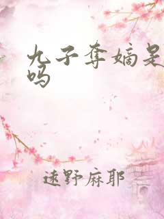 九子夺嫡是真的吗