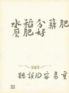 水稻分蘖肥用什么肥好