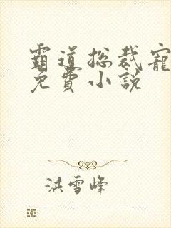 霸道总裁宠上天免费小说 霸道总裁宠上天免费小说