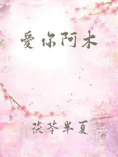 爱你阿木