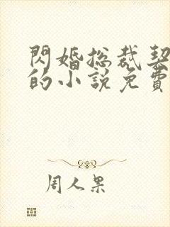 闪婚总裁契约妻的小说免费易看小说