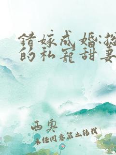 错嫁成婚:总裁的私宠甜妻小说
