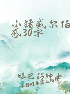 小猪威尔伯读后感30字