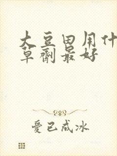大豆田用什么除草剂最好
