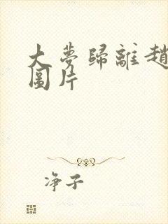 大梦归离赵远舟图片