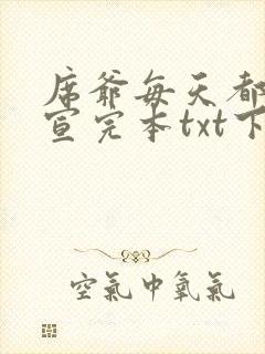 席爷每天都想官宣完本txt下载