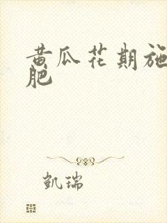 黄瓜花期施什么肥