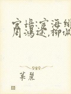 官场:宦海绯途周鸿途,柳佩云的小说