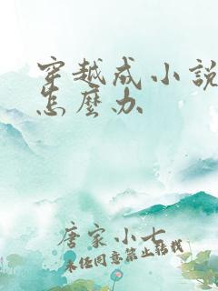 穿越成小说反派怎么办