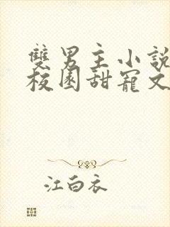 双男主小说推荐校园甜宠文