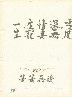 一夜情深,霍先生宠妻无度完整小说
