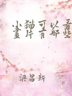 小猫可以看的动画片有哪些