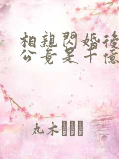相亲闪婚后,老公竟是千亿财阀版