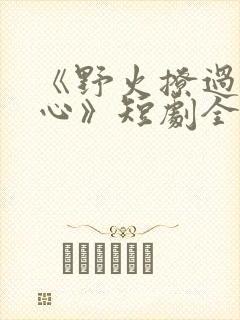 《野火撩过姐姐心》短剧全集