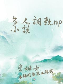 多人调教nph小说