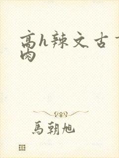 高h辣文古言纯肉