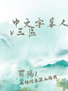中文字幕人妻av三区