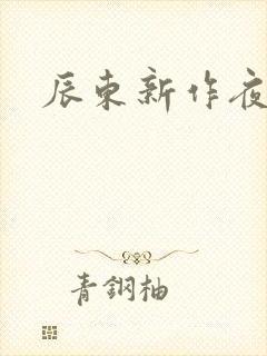 辰东新作夜无疆